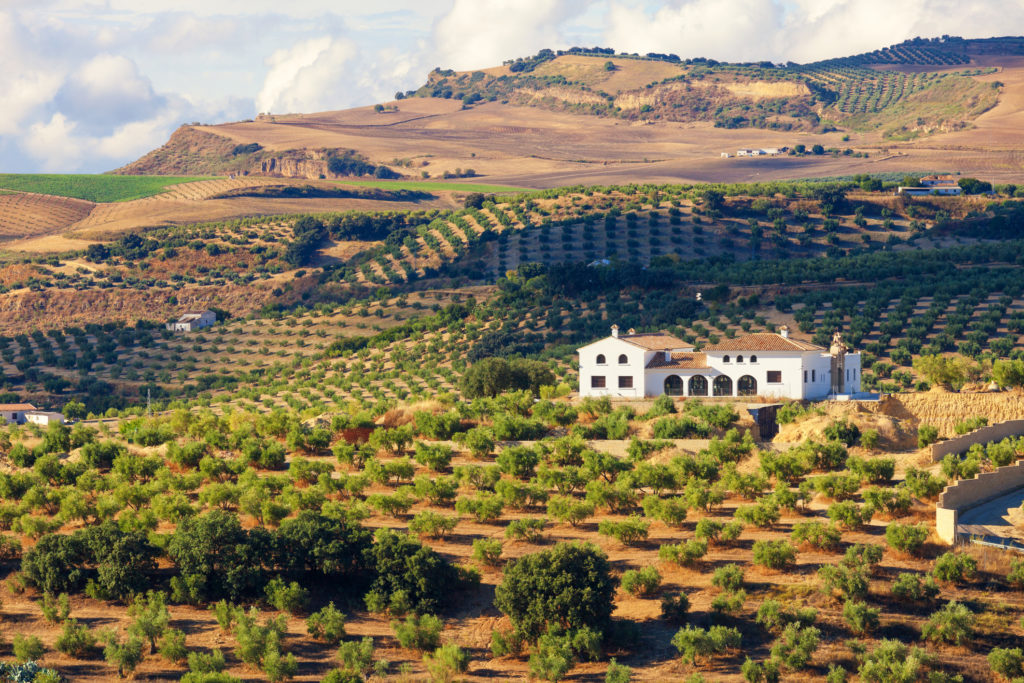 Grundstück Spanien